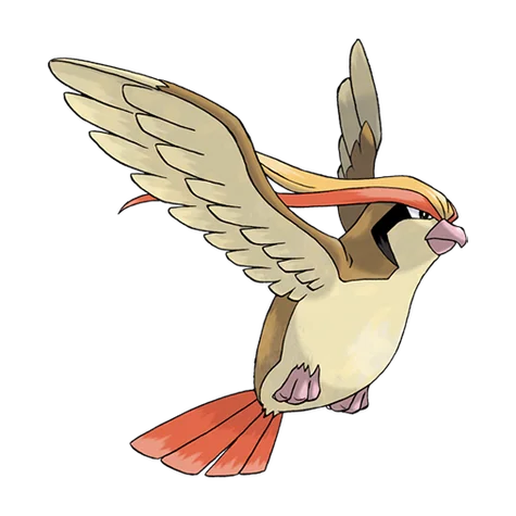 Pidgeot