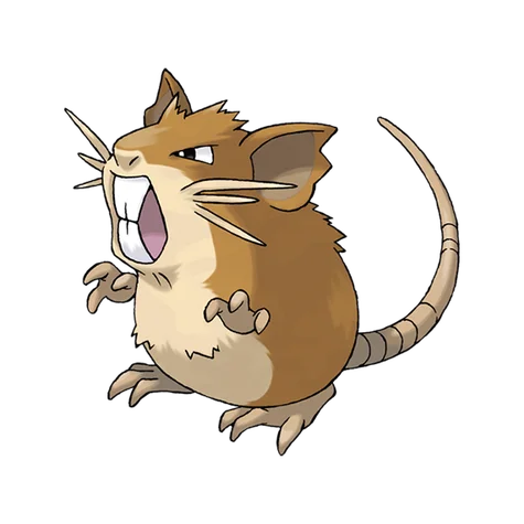 Raticate