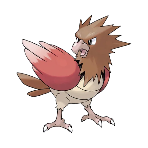 Spearow